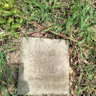 STEAD Mary nee CONSTANCE 1860-1941