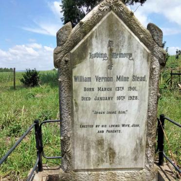 STEAD William Vernon Milne 1901-1928