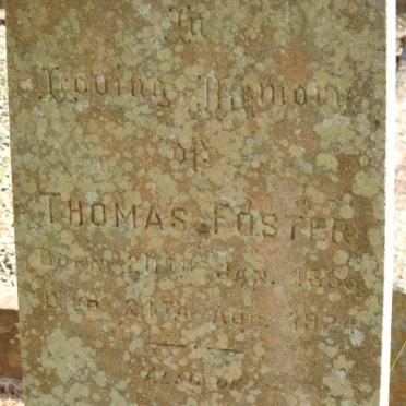 FOSTER Thomas 1855-1924 &amp; Rosina -1934