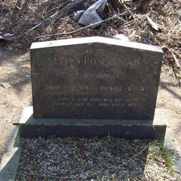 STEAD Ellen Rose nee HALL 1944-1976