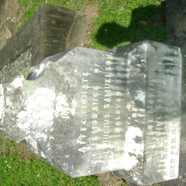 SAMUELSON Paul Julius 1869-1890