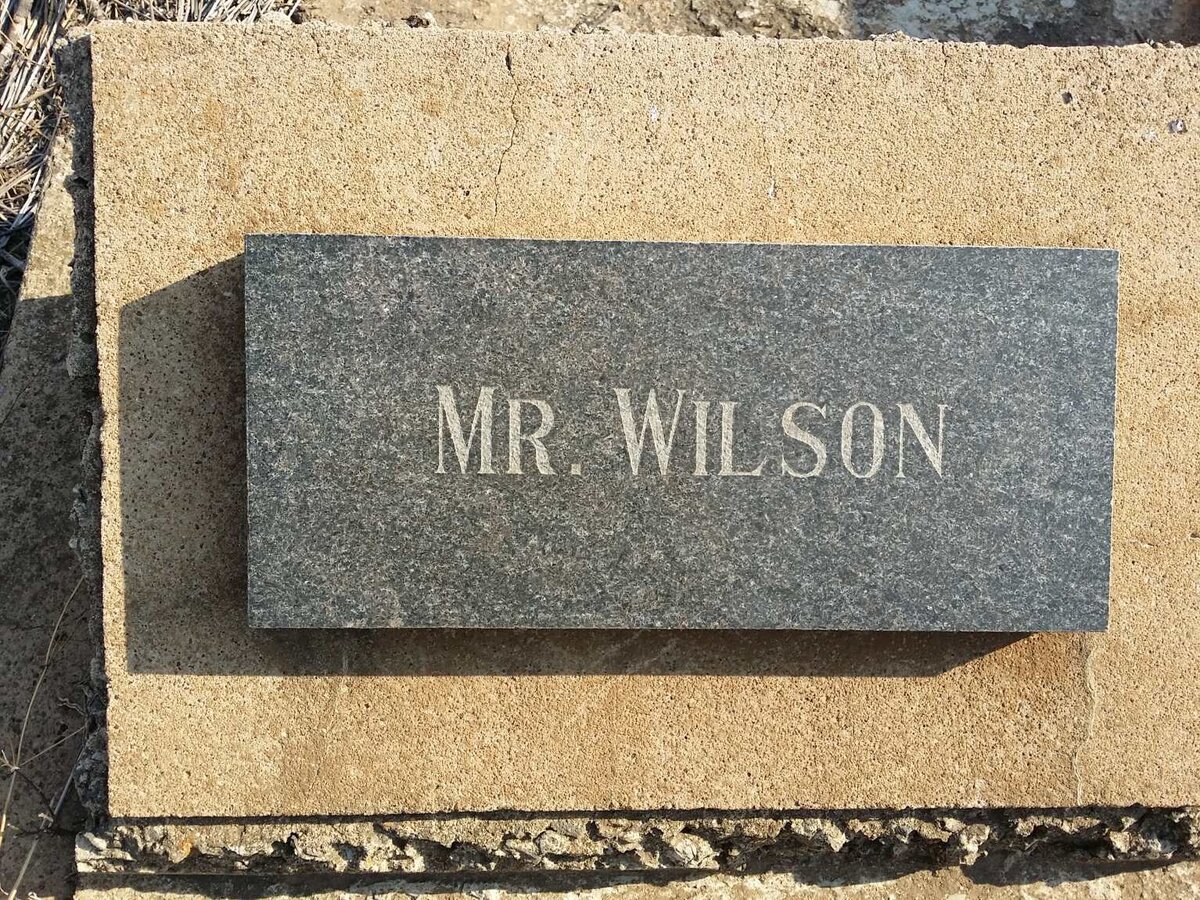 WILSON