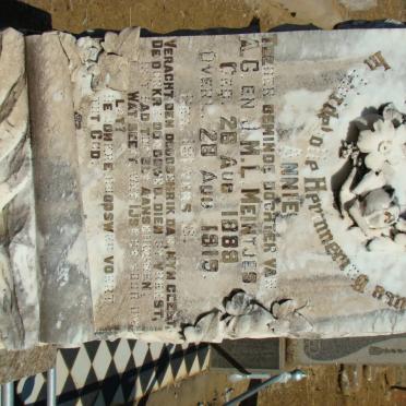 MEINTJES Annie 1889-1919