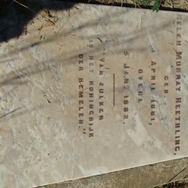 NEETHLING Helen Murray 1881-1882