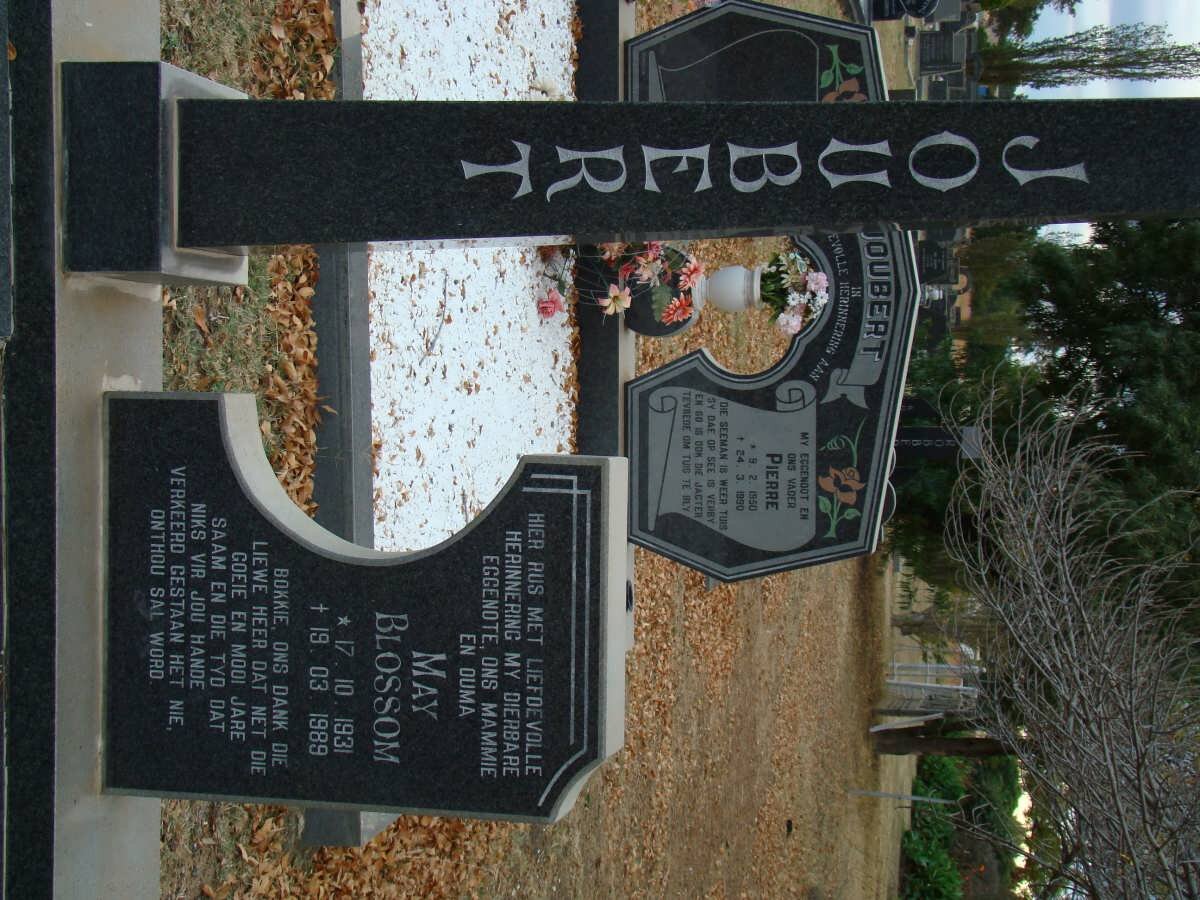 JOUBERT May Blossom 1931-1989