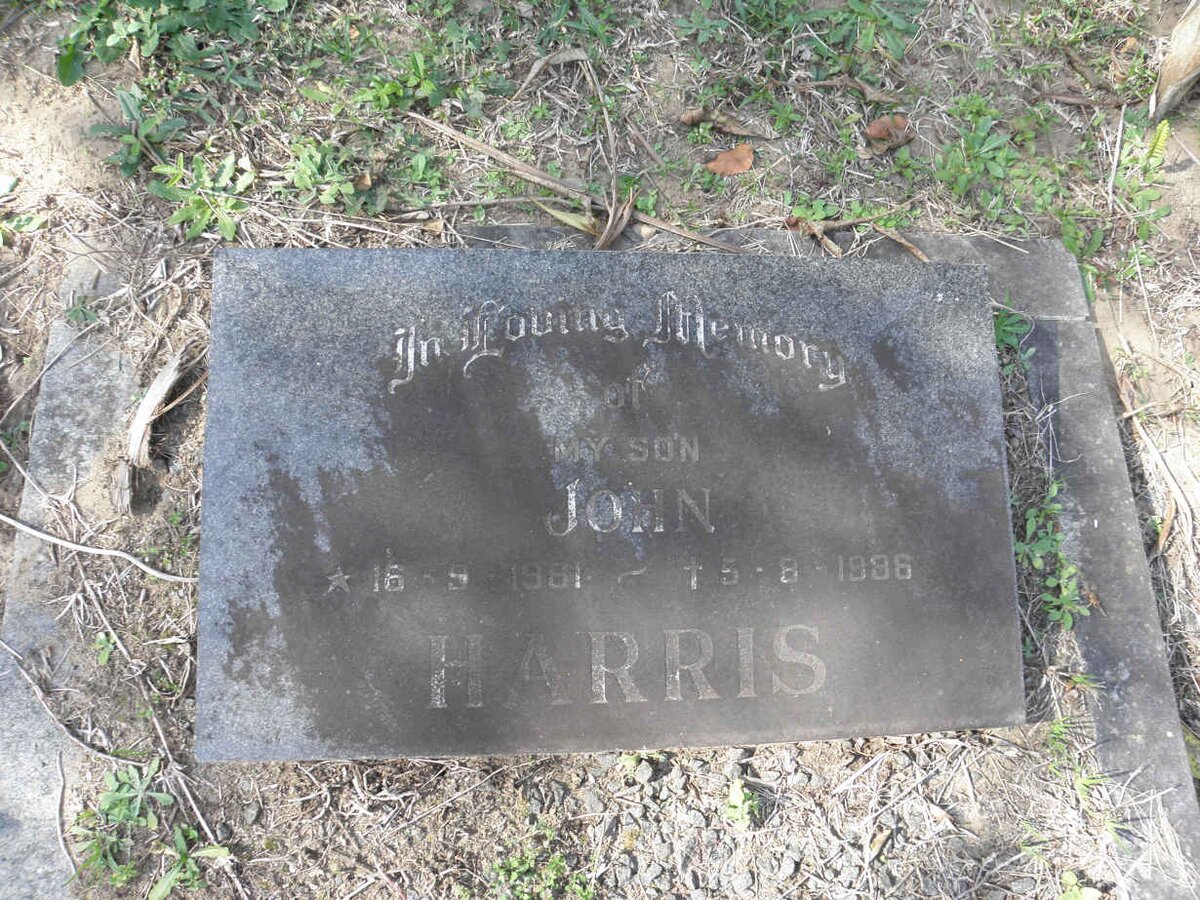 HARRIS John 1981-1986