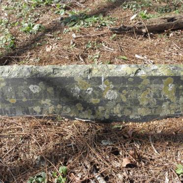 STRONG Louisa ?-1933