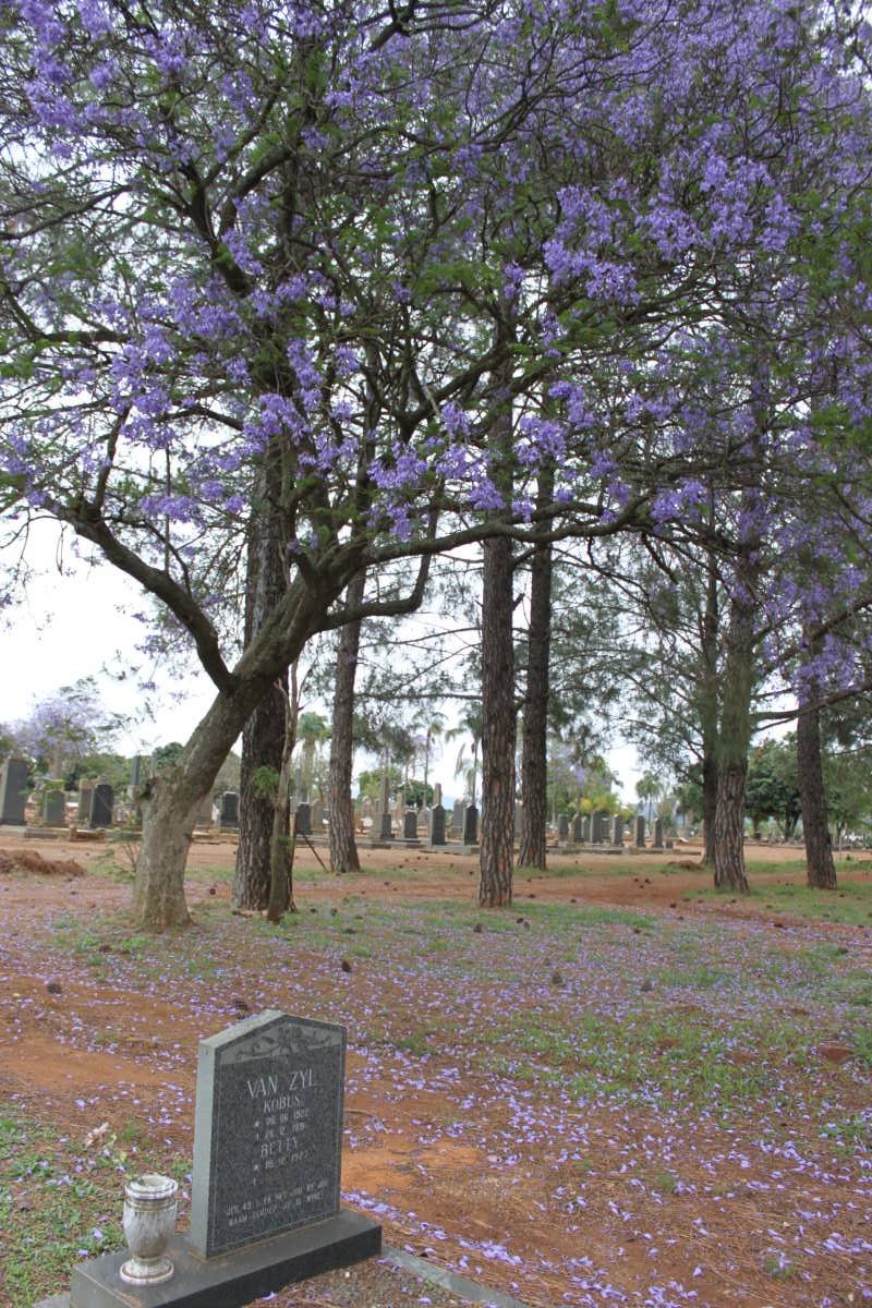 02. Overview / Oorsig