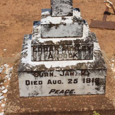 ALCOCK Edgar Ashley -1919