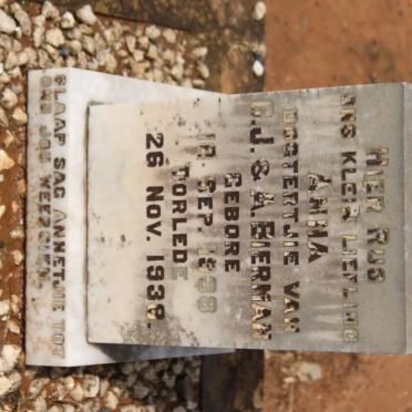 BIERMAN Anna 1938-1939