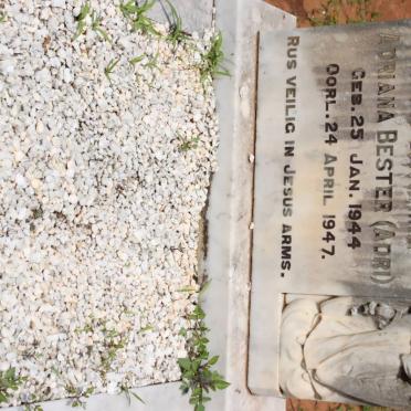 BESTER Anna Cathrina Adriana 1944-1947