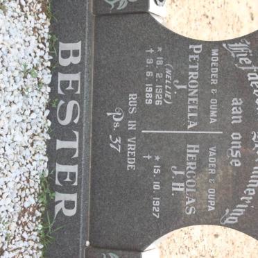 BESTER Hercolas J.H. 1927- &amp; Petronella J. 1926-1989