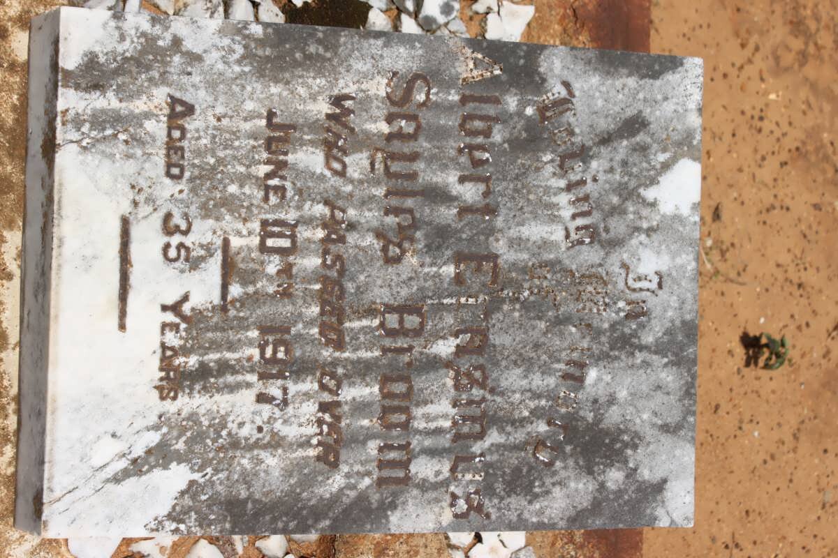 BROOM Albert Erasmus Sayles -1917