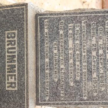 BRUMMER Wichardt 1885-1938