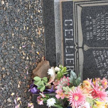 CELLIERS Cornelia Johanna Susanna nee BESTER 1897-1985