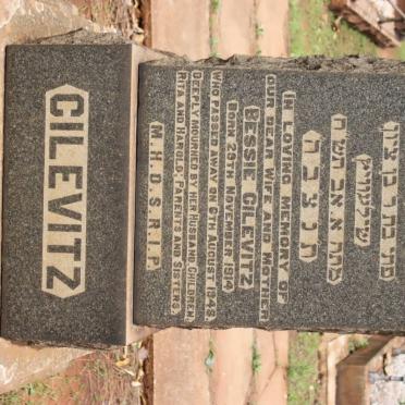 CILEVITZ Bessie 1914-1948