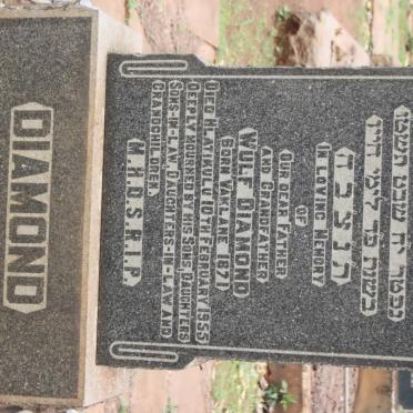 DIAMOND Wulf 1871-1955