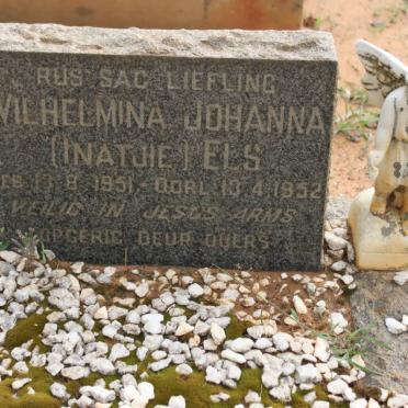 ELS Wilhelmina Johanna 1951-1952