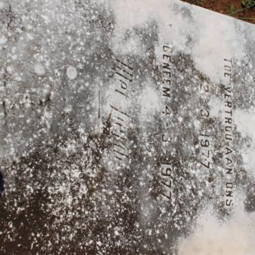 KEEVE Michael Henri 1977-1977