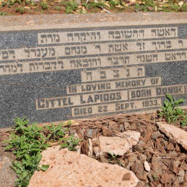 LAPIDOS Gittle nee DONOE -1933