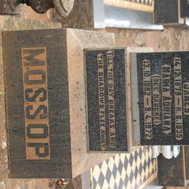 MOSSOP Charles Frederick James 1879-1935 &amp; Maria Adriana HANCKE 1882-1972