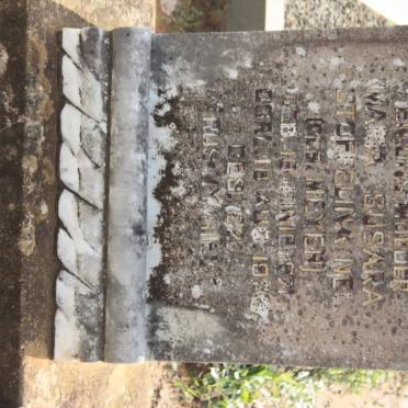 NEL Maria Susara Stoffelina nee MEYER 1871-1933