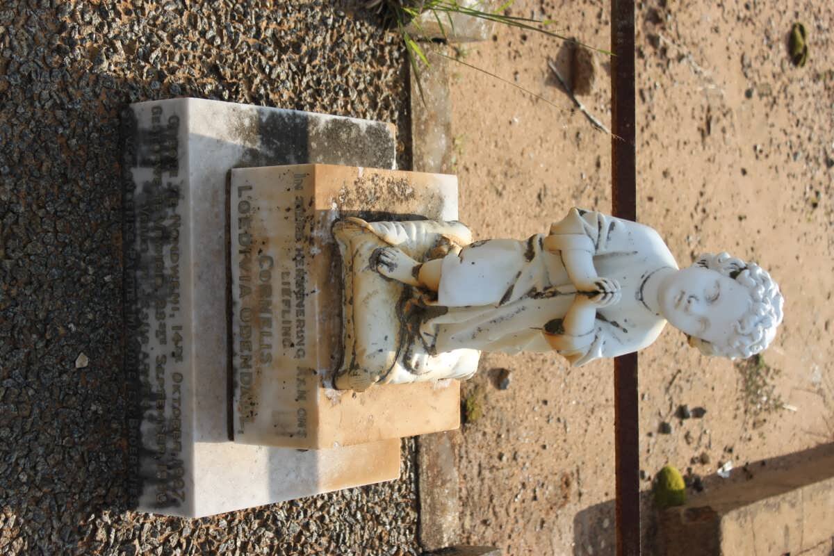 ODENDAAL Cornelis Loedivia 1897-1900