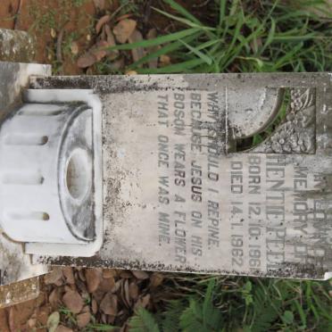 PEEL Hentie 1961-1962