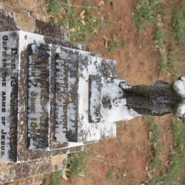 ROOS Johannes 1919-1919