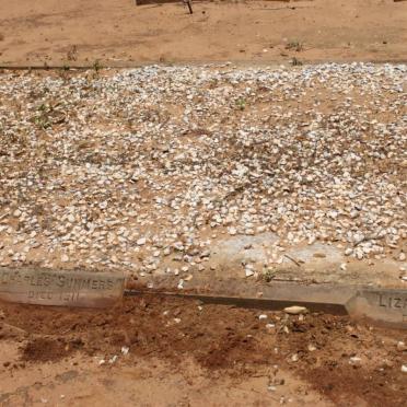 SUMMERS Charles  -1911 :: WILLSON Liza  -1919