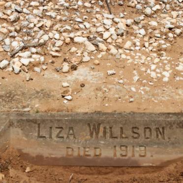 WILLSON Liza  -1919