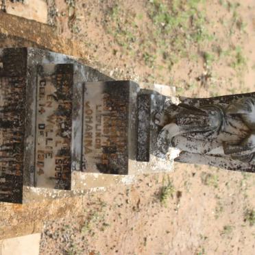 SMITH Willie -1904 :: SMITH Johanna -1906