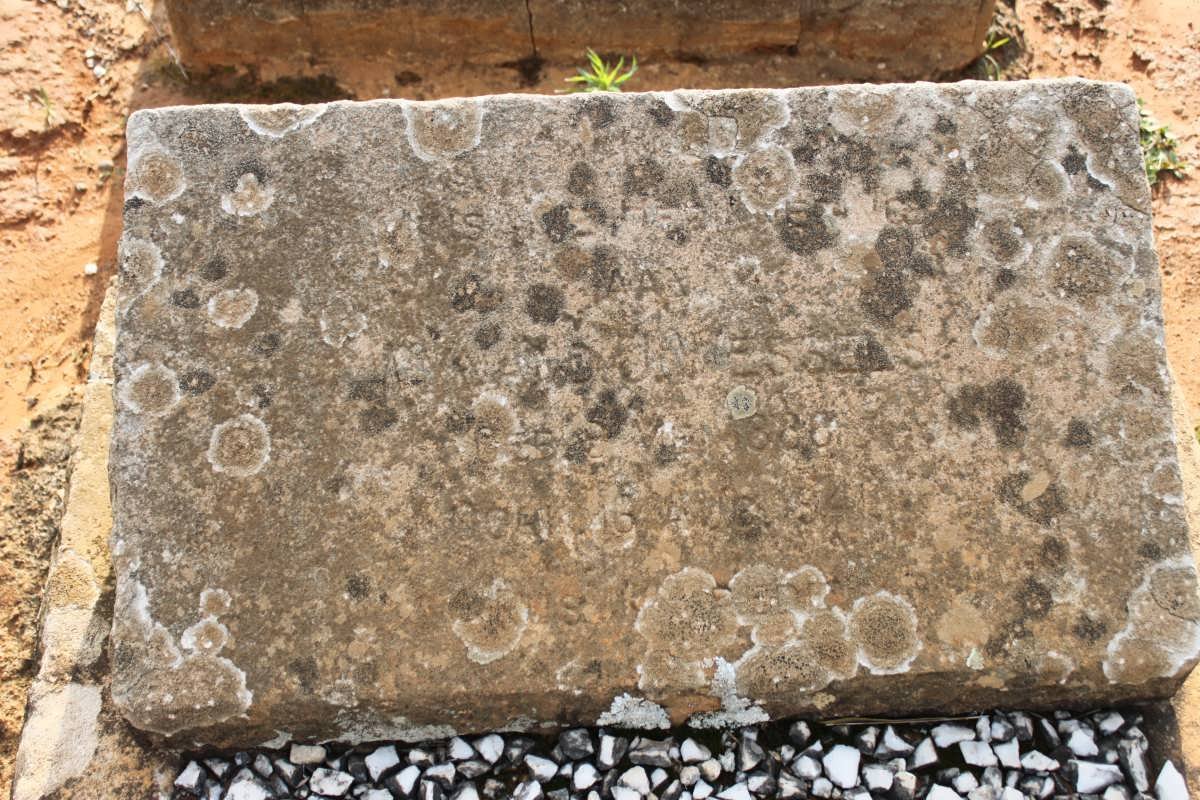 WESSELS Wynand J. 1886-1941