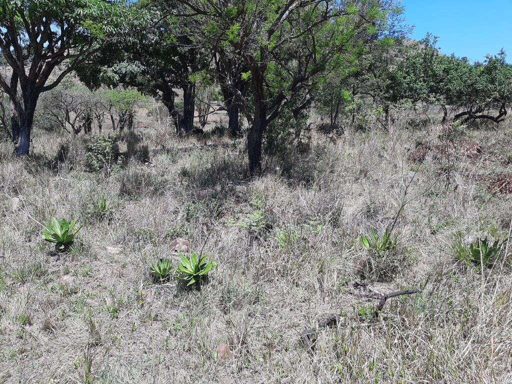 2. Overview / Oorsig