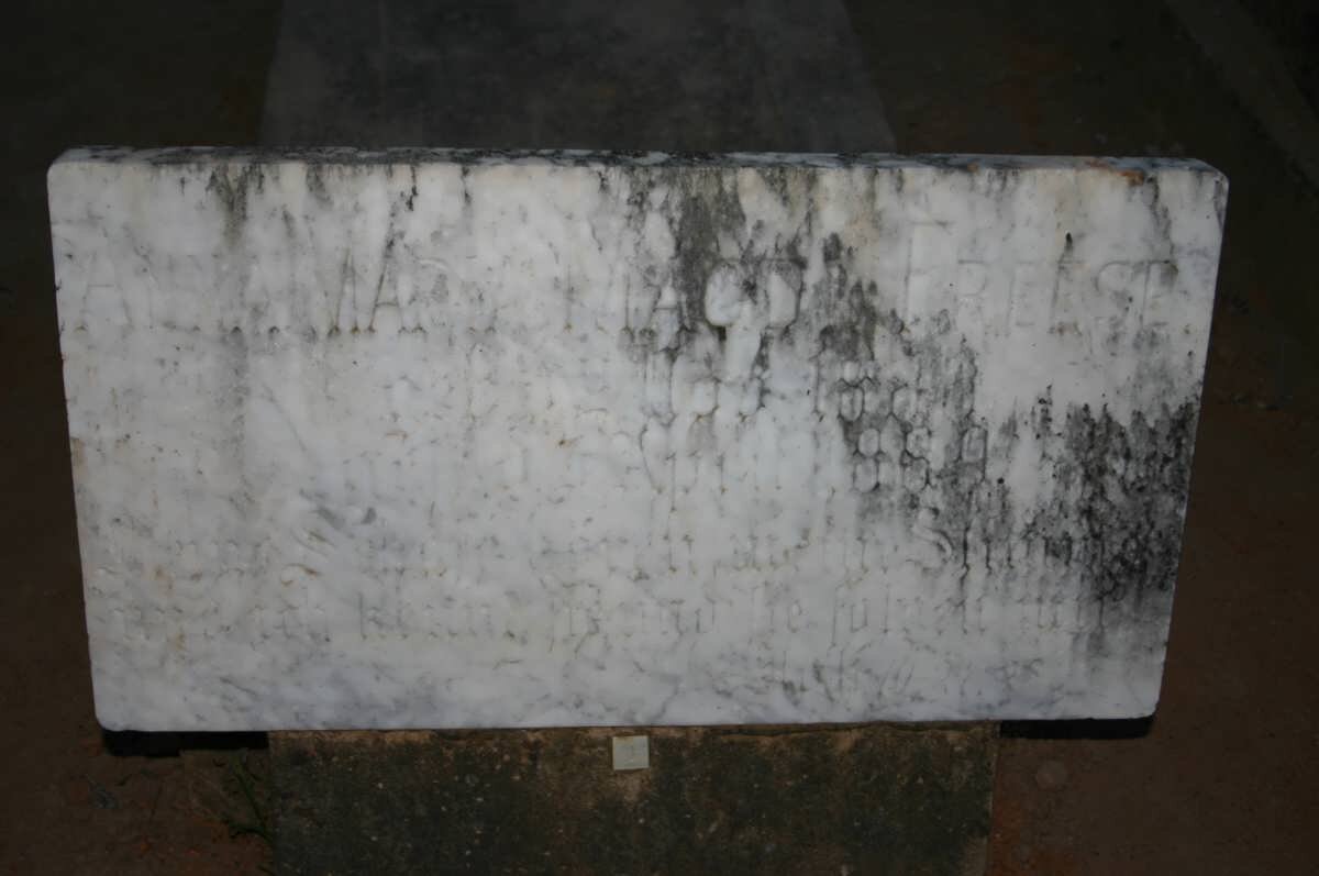 FREESE Anna Maria Magdalena 1886-1889