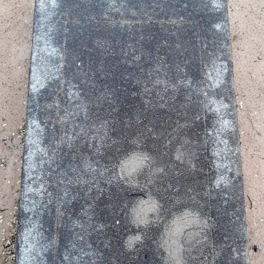 HARMS Egmont Hans Maximilian 1883- 1883