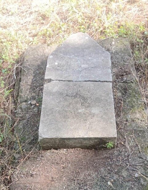 BUYS Cecilia Johanna Jacoba nee NEL 1860-1899. 