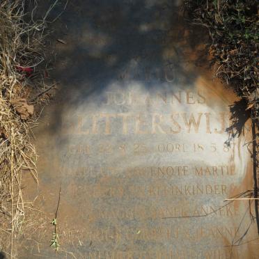 BLITTERSWIJK Marius Johannes 1925-1987