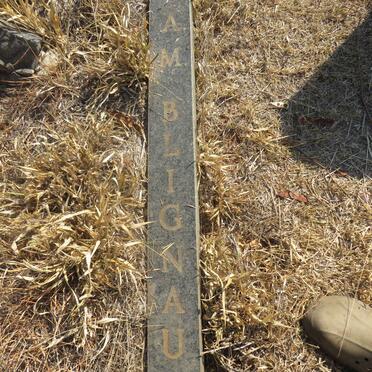 BLIGNAUT T. 1919-1995 & A.M. 1921-1990 _2