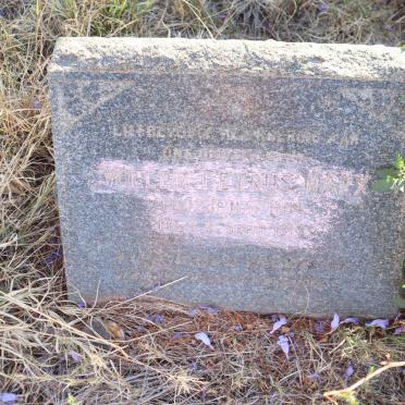 MARX Willem Petrus 1904-1917