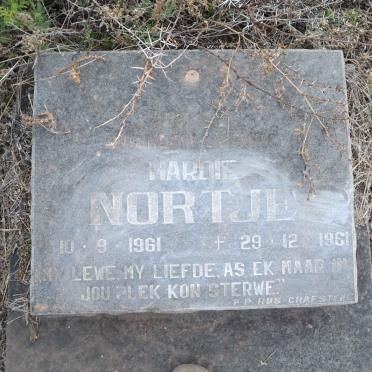 NORTJE Hardie 1961-1961