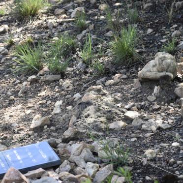 5. Overview / Oorsig