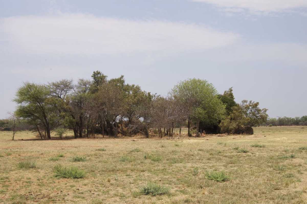 1. Overview / Oorsig