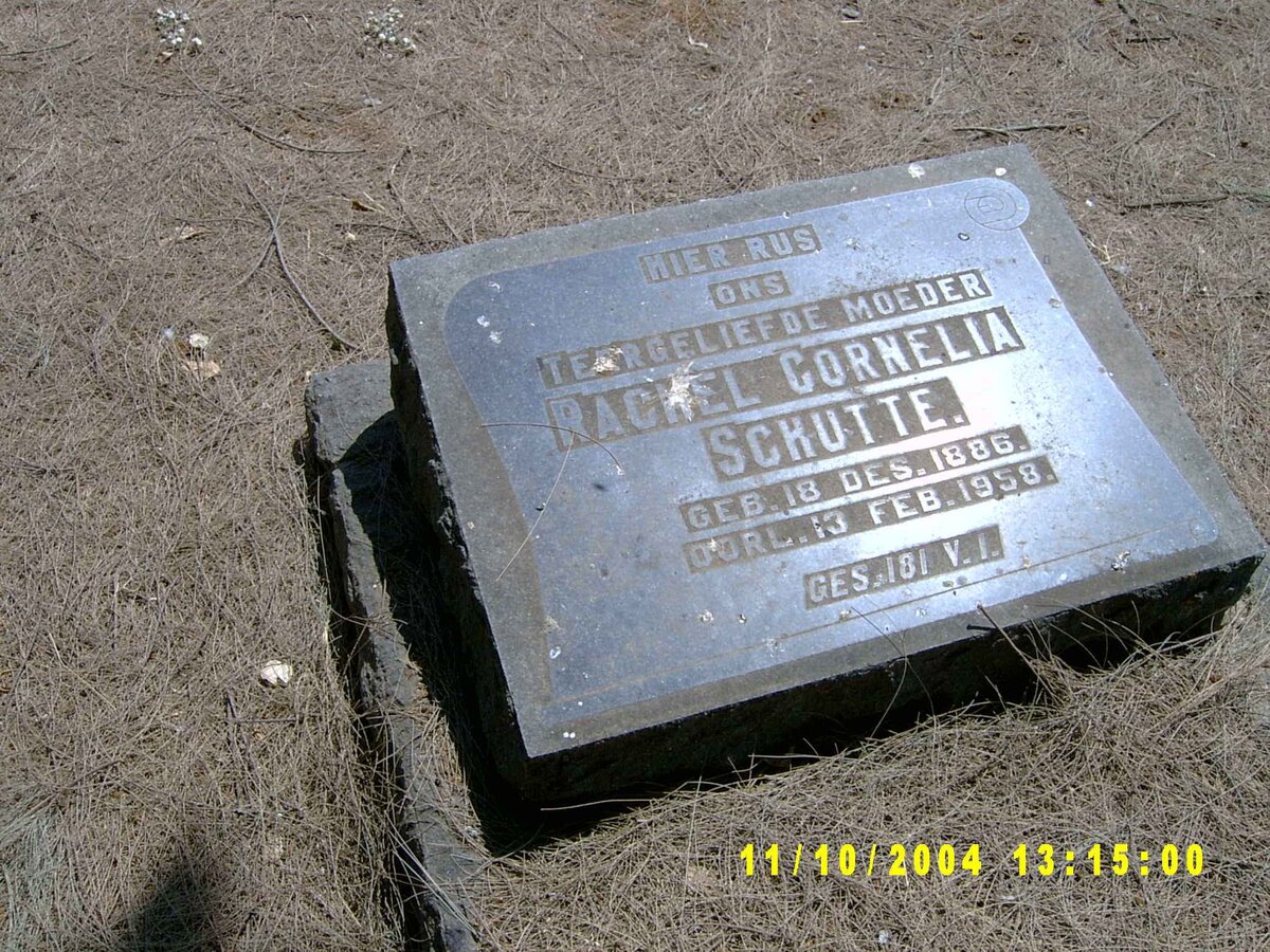 SCHUTTE Rachel Cornelia nee JOUBERT 1886-1958