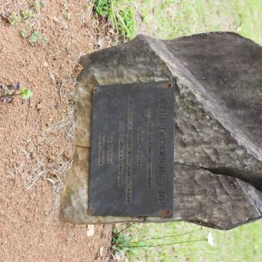 McCOMB Patricia Dawn 1931-