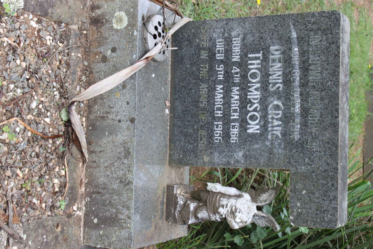 THOMPSON Dennis Craig 1966-1966