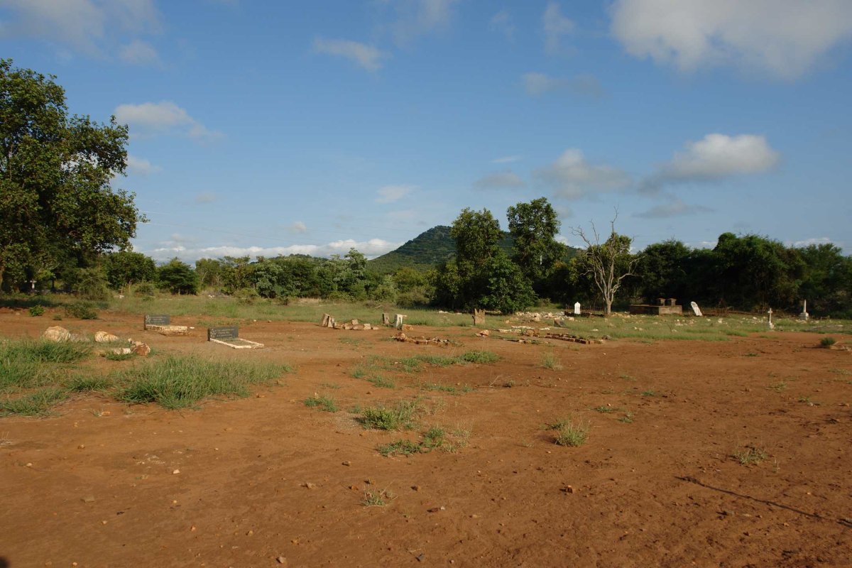 2. Overview / Oorsig