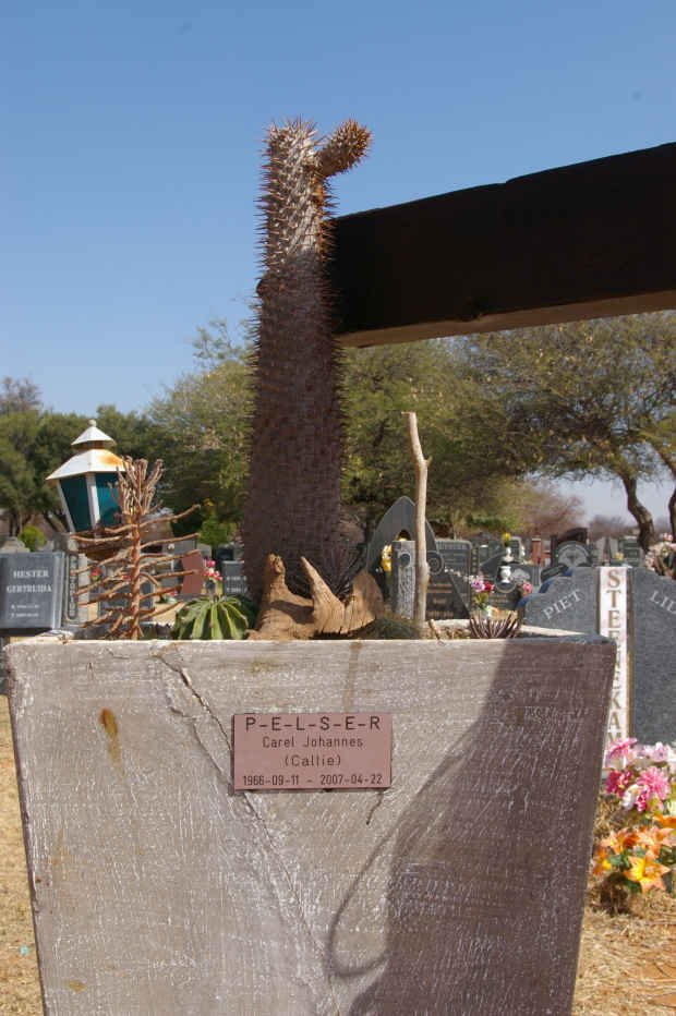 PELSER Carel Johannes 1968-2007