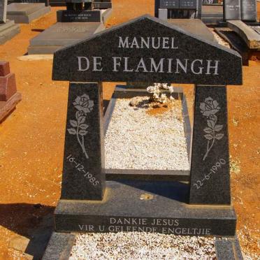 FLAMINGH Manuel, de 1985-1990