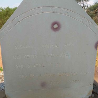 HORN Susanna Jusuna nee GEYSER 1882-1936